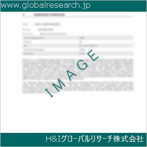 グローバルリサーチ調査資料のイメージ